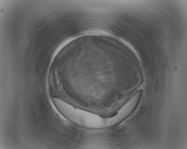 X0000084561440200703091734