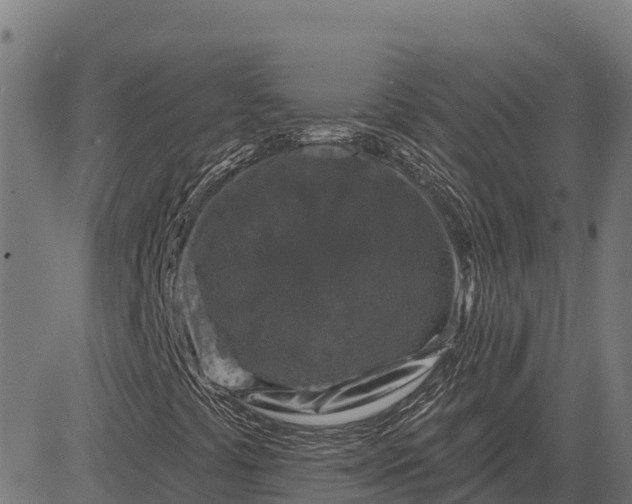 X0000084561441200703091733