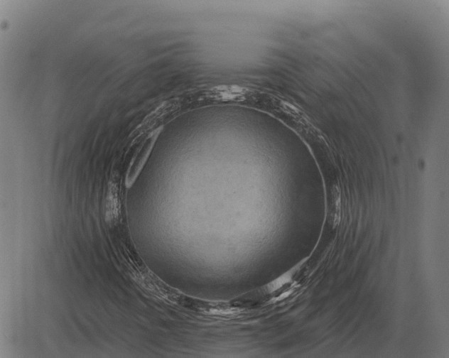 X0000084561442200703091733