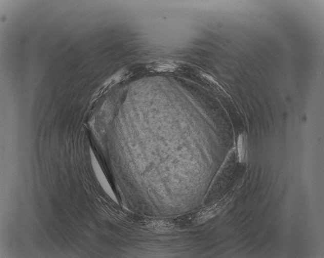 X0000084561443200703091733