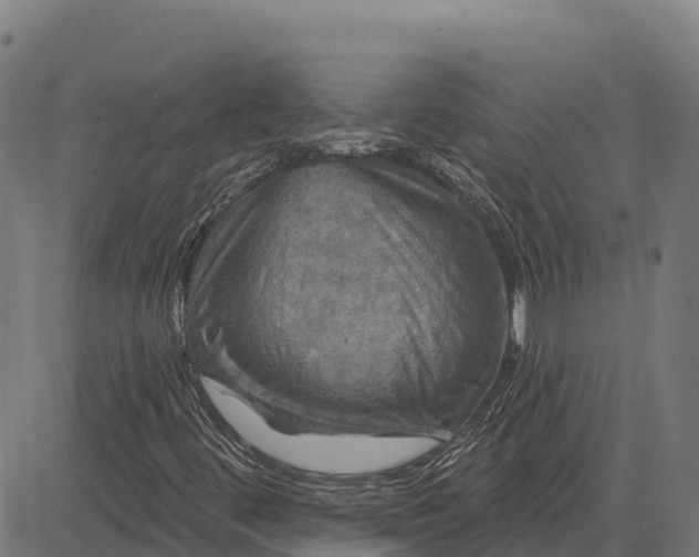 X0000084561444200703091733