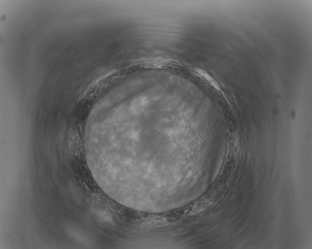 X0000084561446200703091733