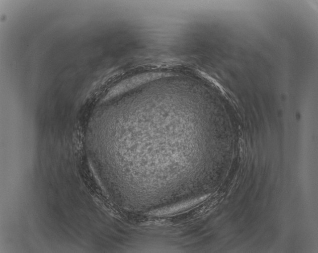 X0000084561447200703091733