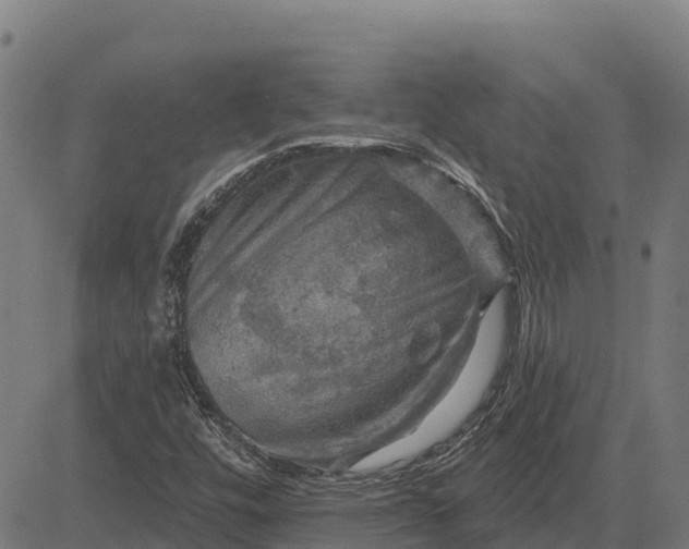 X0000084561448200703091733