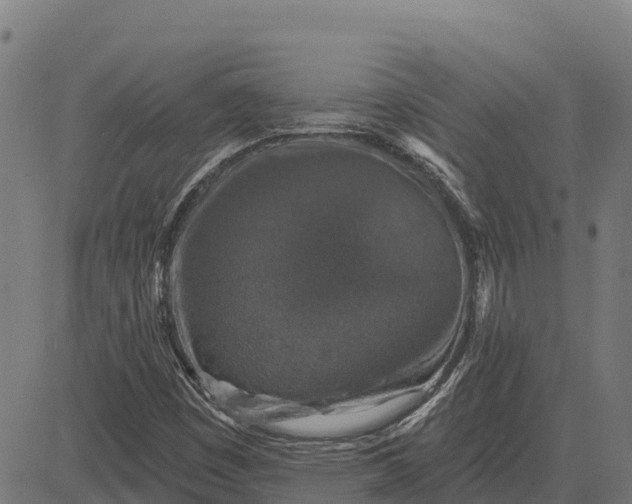 X0000084561449200703091733