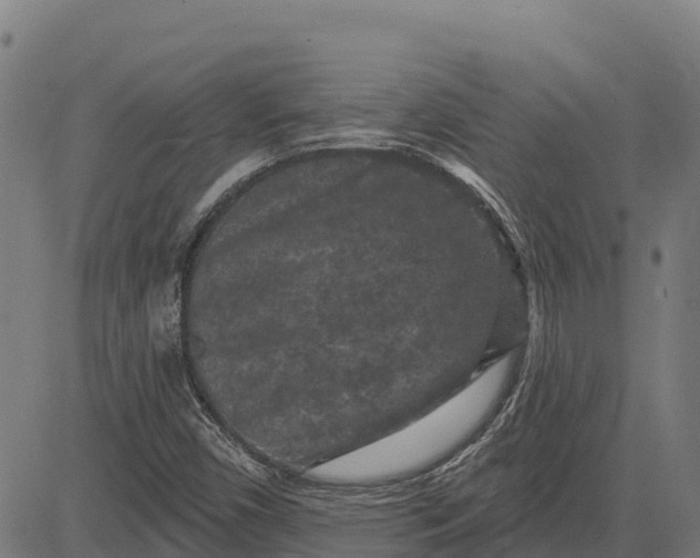 X0000084561450200703091733