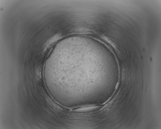 X0000084561451200703091733