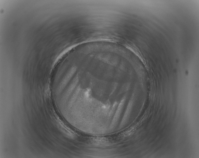 X0000084561452200703091733