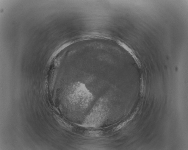 X0000084561453200703091733