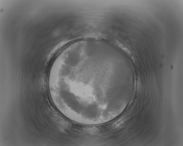 X0000084561454200703091733