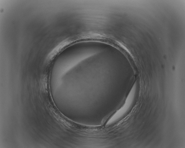 X0000084561455200703091733