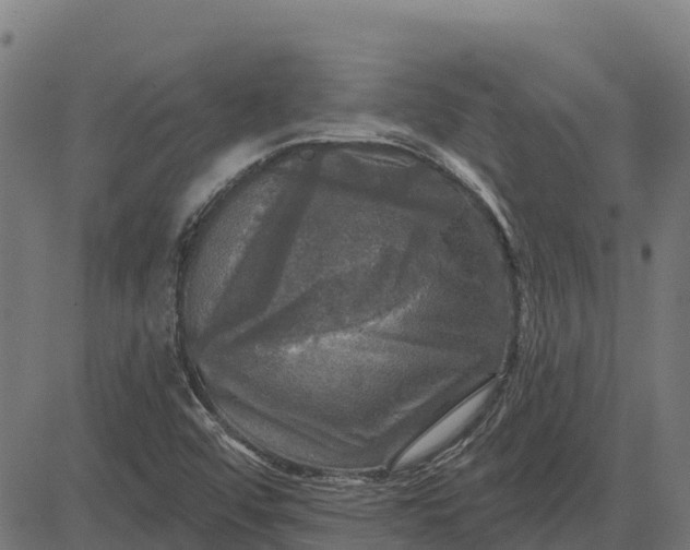 X0000084561456200703091733