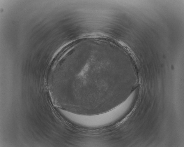 X0000084561457200703091733