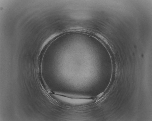 X0000084561458200703091733