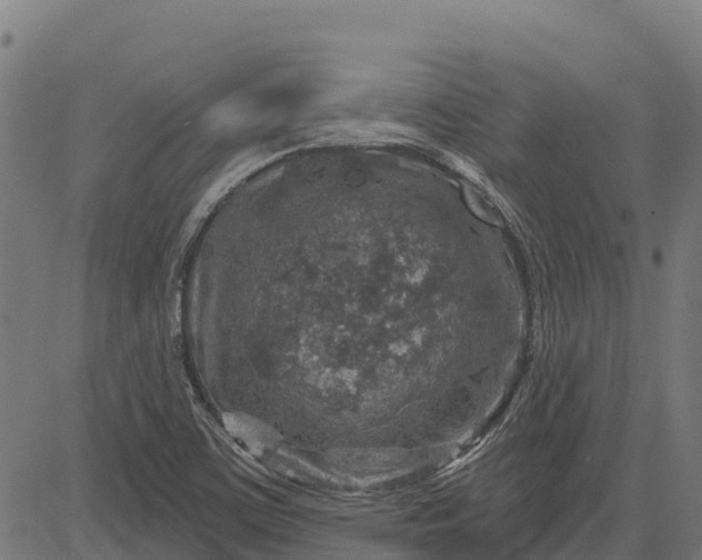 X0000084561459200703091733