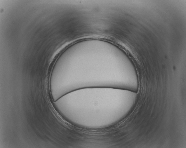 X0000084561460200703091733