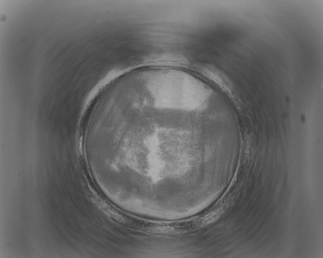 X0000084561462200703091733