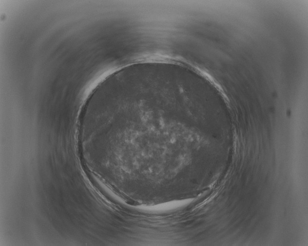 X0000084561463200703091733