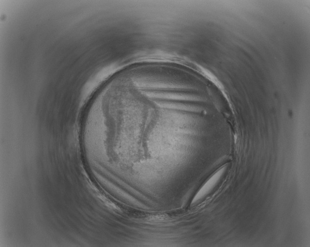 X0000084561464200703091733