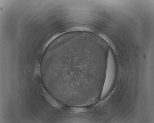 X0000084561465200703091732