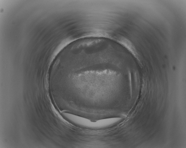 X0000084561468200703091732