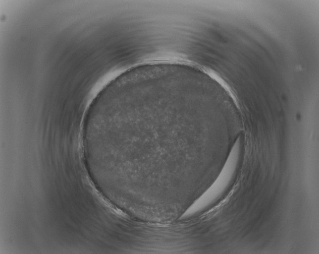 X0000084561469200703091732