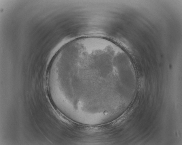 X0000084561470200703091732