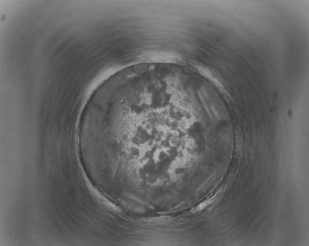 X0000084561471200703091732