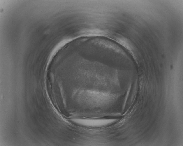 X0000084561472200703091732