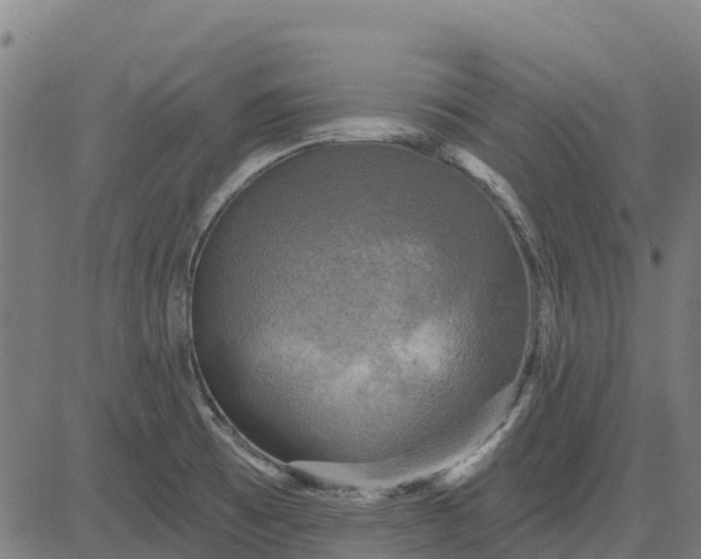 X0000084561473200703091732