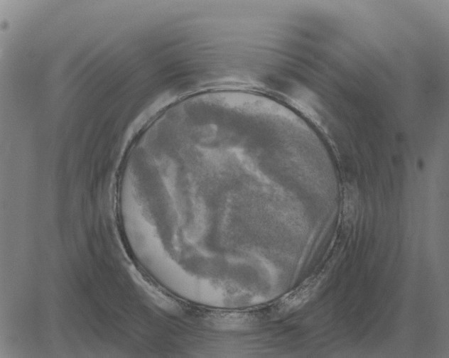 X0000084561474200703091732