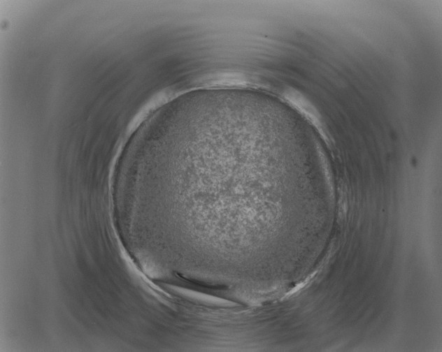 X0000084561475200703091732