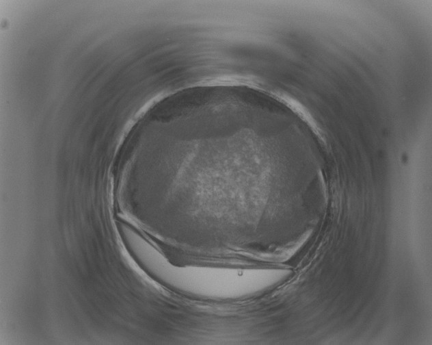 X0000084561476200703091732