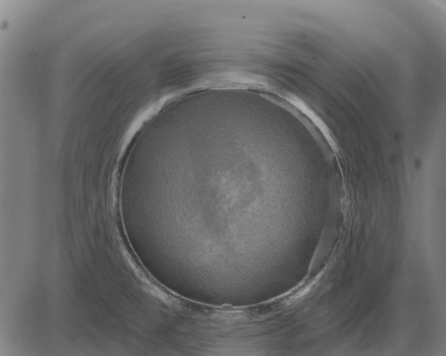 X0000084561477200703091732