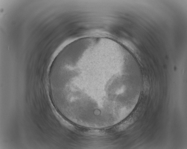 X0000084561478200703091732