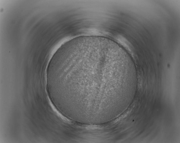 X0000084561479200703091732