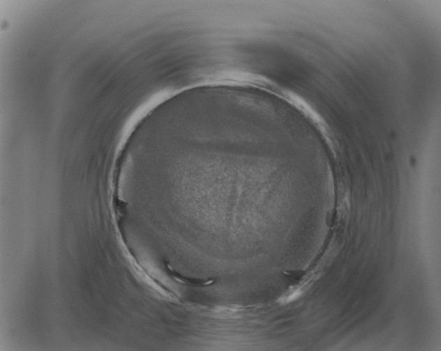 X0000084561480200703091732