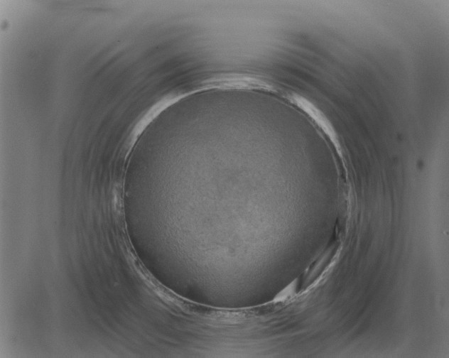 X0000084561481200703091732