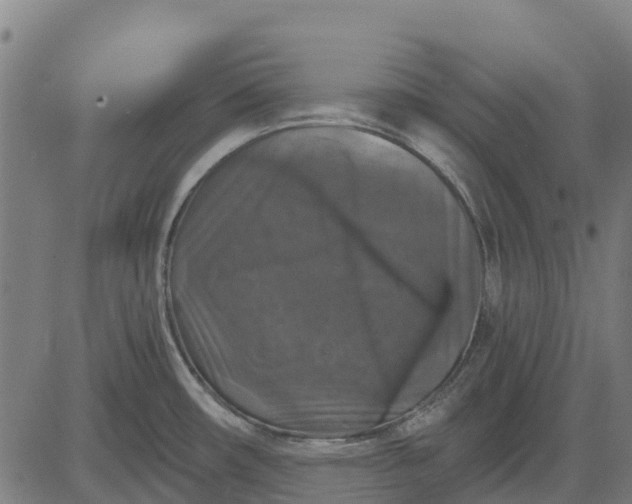 X0000084561482200703091732