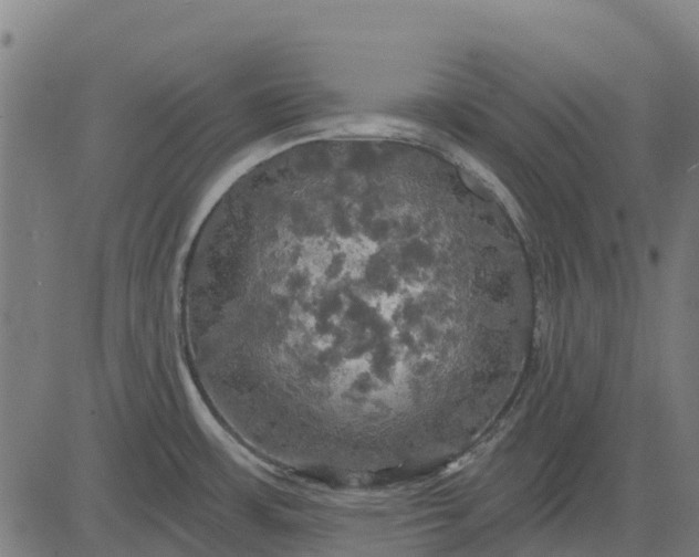 X0000084561483200703091732