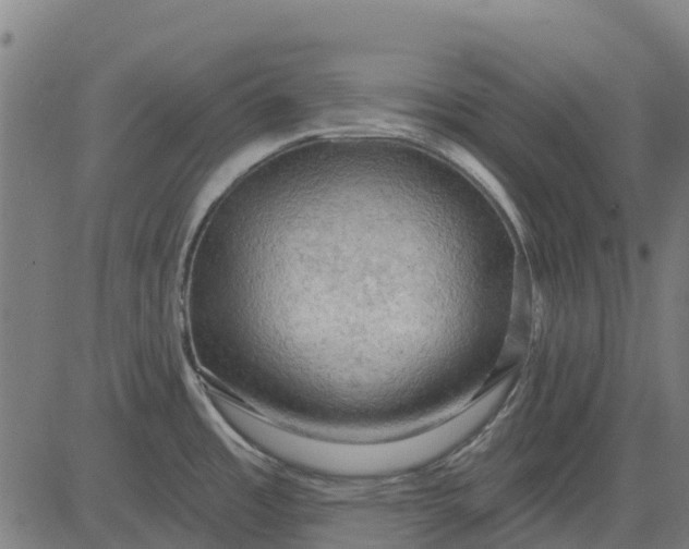 X0000084561485200703091732