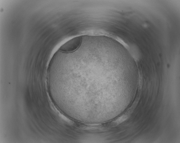 X0000084561486200703091732