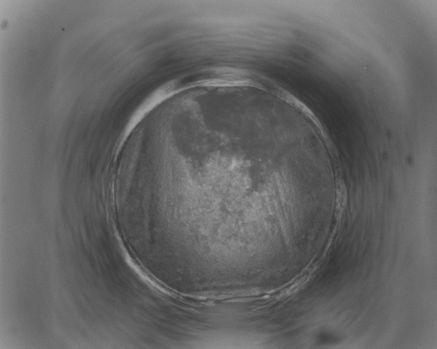 X0000084561487200703091732