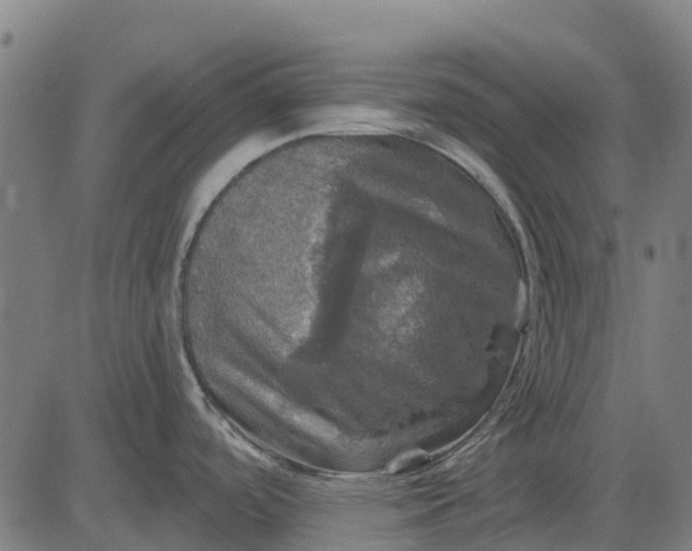 X0000084561488200703091732