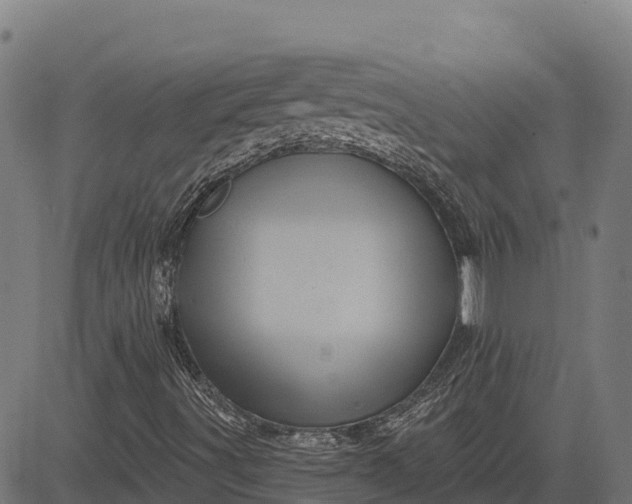 X0000084561491200703091731