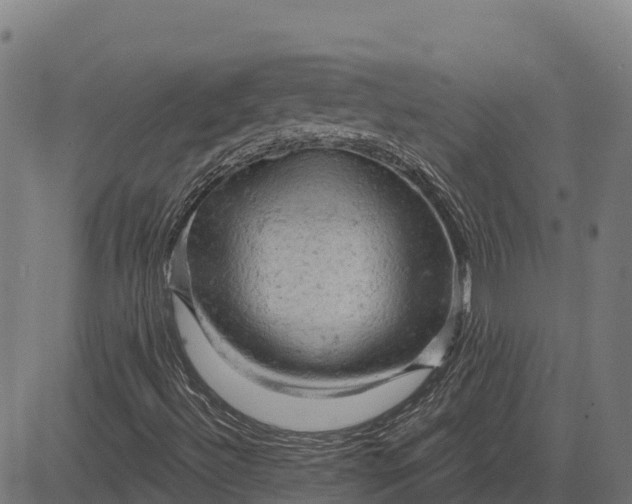 X0000084561492200703091731