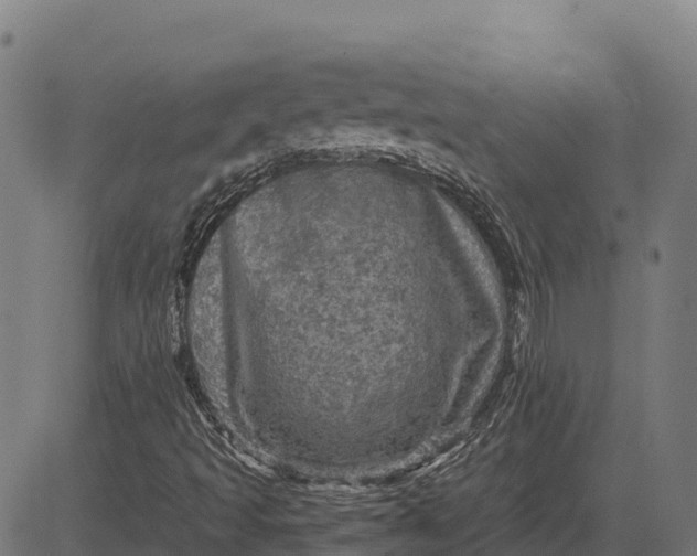 X0000084561493200703091731