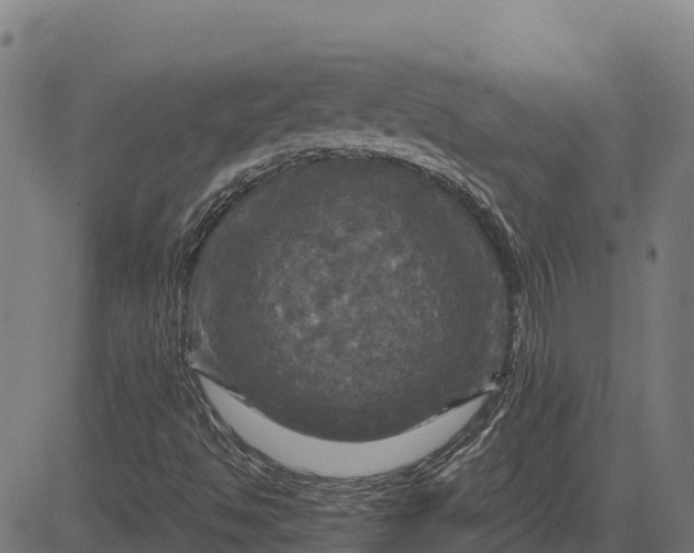 X0000084561494200703091731