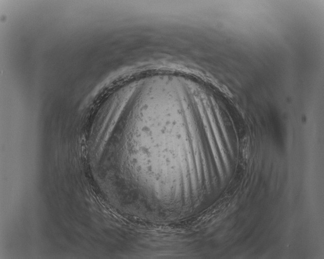 X0000084561495200703091731