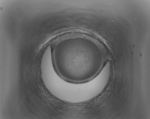 X0000084561496200703091731